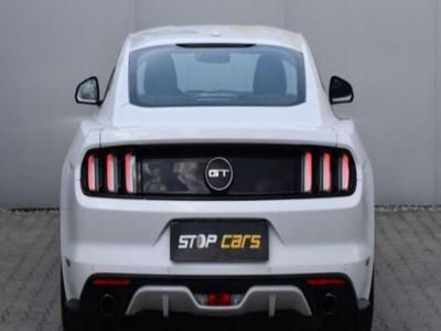Ford Mustang Fastback 5.0 v8 421 ch