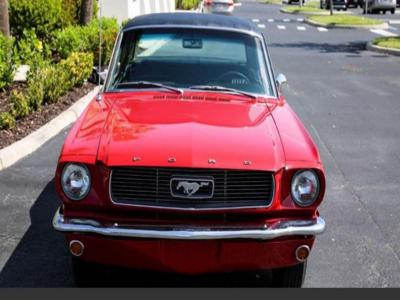 Ford Mustang v8 289 1966 tout compris