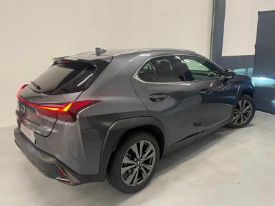 Lexus UX h 2WD F SPORT Design