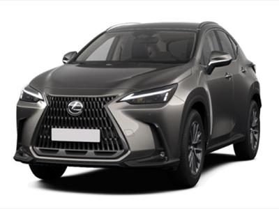 LEXUS NX 2