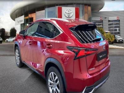 Lexus NX 300h 4WD Luxe