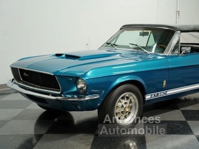 Ford Mustang Shelby GT350 Tribute Convertible