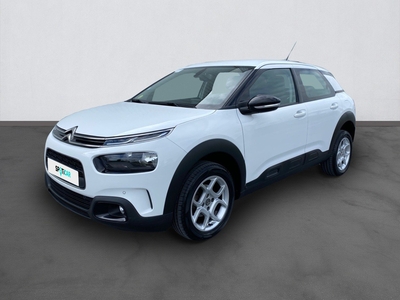 C4 Cactus BlueHDi 100ch S&S Feel Business E6.d-TEMP