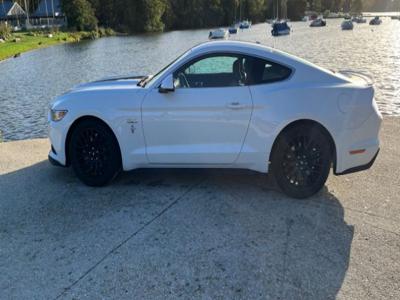 Ford Mustang FASBACK GT 5.0 V8
