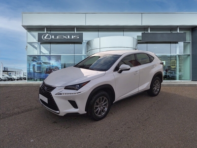 LEXUS NX 300H 2WD BUSINESS EURO6D-T