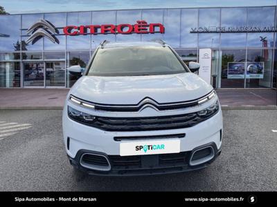 Citroen C5 Aircross C5 Aircross BlueHDi 130 S&S EAT8 Shine 5p