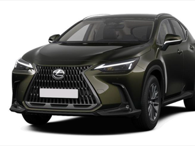 LEXUS NX 2