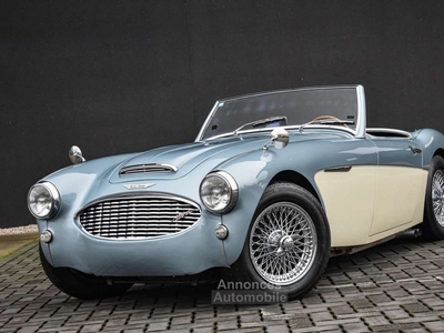 Austin Healey 100 100-6 Excellente staat