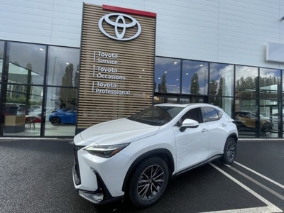 Lexus Nx 450h+ 4WD Luxe