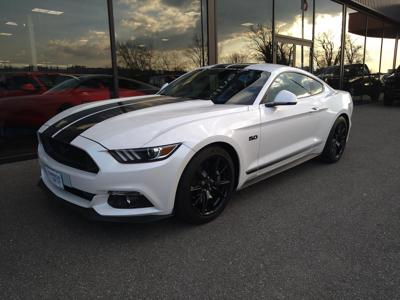 FORD MUSTANG GT fastback Black Shadow Edition V8 5.0L