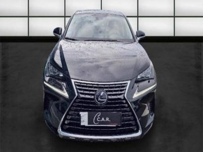 Lexus NX MY20 MM19 300h 2WD Executive