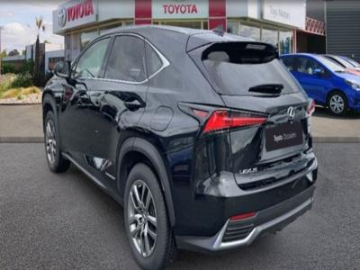 Lexus NX 300h 4WD Luxe