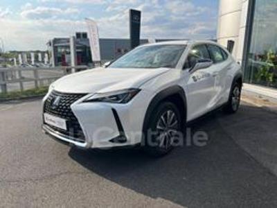 LEXUS UX phase 2