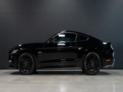 Ford Mustang GT Fastback 5.0 V8 421 ch
