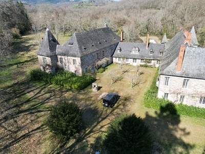 Vente château 19 pièces 600 m²