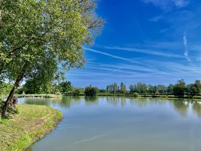 À VENDRE BERGERAC: Ensemble de 9 gîtes sur un très beau parc arboré, comprenant un étang de pêche et piscine.