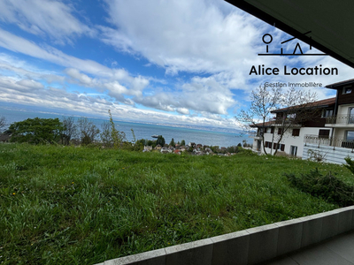 Magnifique rez de jardin avec vue lac panoramique - Neuvecelle
