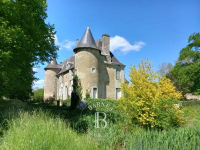Vente Château Châtellerault - 8 chambres