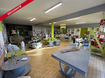 Vente locaux professionnels 4 pièces 250 m²