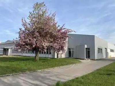 Location de bureau de 500 m² à Geispolsheim - 67118