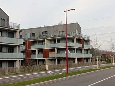 Appartement 4 pièces à Mundolsheim
