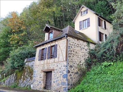 Vente maison 4 pièces 74 m² Beaulieu-sur-Dordogne (19120)