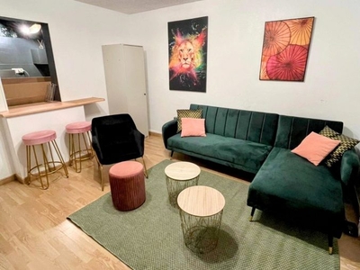 COTE D'OR (21) - DIJON - Superbe 30 m² entièrement équipé vendu loué