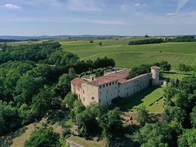 Prestigieux château en vente Albi, France