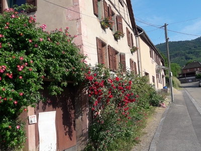 Les Manouzes : hébergement rural proche de Colmar et des stations des Vosges