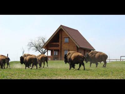 Chalet du Ranch des Bisons pour 6 personnes