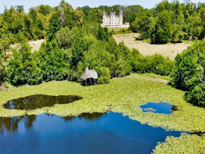 Prestigieux château de 800 m2 en vente - Vihiers, Pays de la Loire