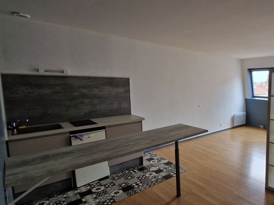 Appartement 1 pièce de 35 m² à Roubaix (59100)