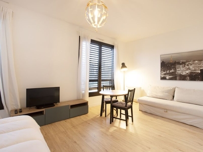 Location meublée appartement 1 pièce 43 m²