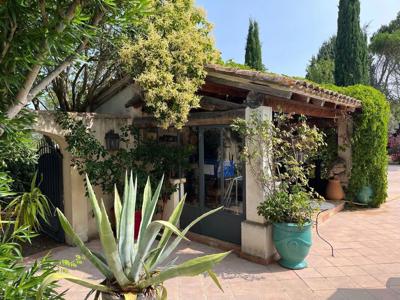 Villa de luxe de 6 pièces en vente Arles, Provence-Alpes-Côte d'Azur