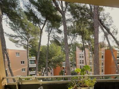 Appartement 4 pièces de 82 m² à La Seyne-sur-Mer (83500)
