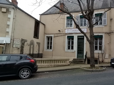 Maison 10 pièces de 300 m² à Argenton-sur-Creuse (36200)