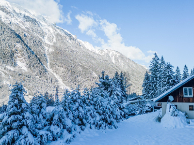 Vente Chalet Chamonix-Mont-Blanc - 3 chambres