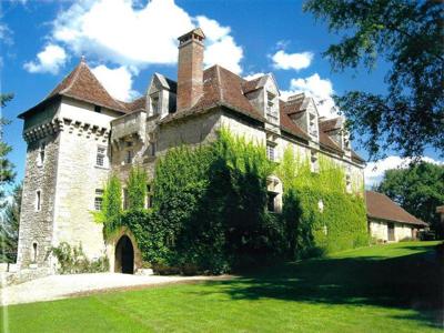 Castle for sale in Strenquels, Occitanie