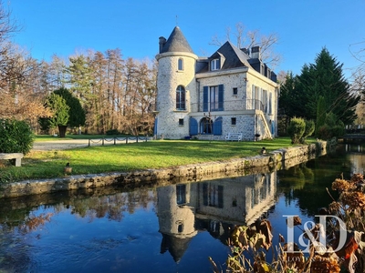 Prestigieux château de 600 m2 en vente - Gironville-sur-Essonne, Île-de-France