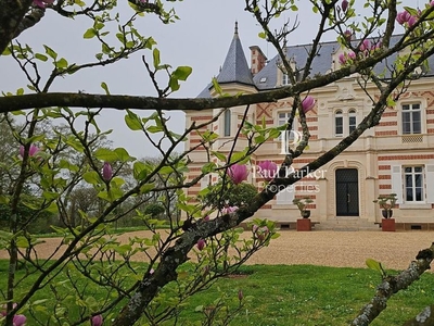 Prestigieux château de 450 m2 en vente - Le Mans, France