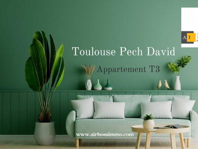 Appartement T3 Toulouse Coteaux Pech-David