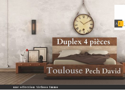 Appartement T4 Duplex Toulouse Coteaux Pech-David
