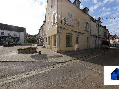 Immobilier Professionnel à vendre Châtillon-Coligny