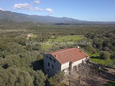 Maison de prestige de 90 m2 en vente Sotta, Corse