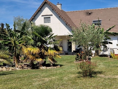 Vente maison 7 pièces 180 m² Saint-Martin-la-Pallu (86380)