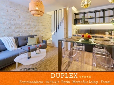 Location meublée duplex 3 pièces 37 m²