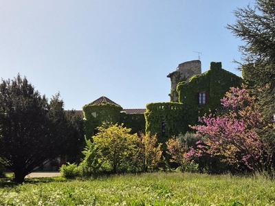 Prestigieux château de 580 m2 en vente - Le Pontet, Provence-Alpes-Côte d'Azur