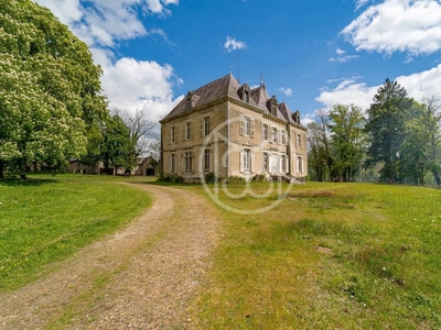 Prestigieux château en vente Neuville-lès-Decize, Bourgogne-Franche-Comté