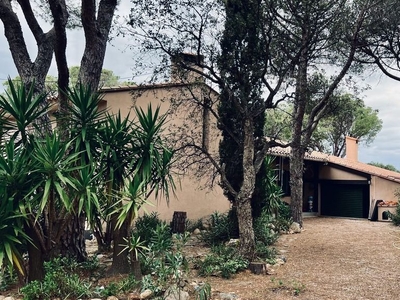 Maison de luxe 4 chambres en vente à Baho, France