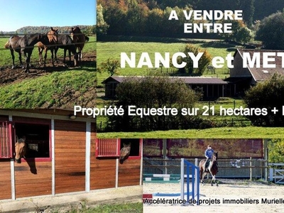 Luxury 8 pièces Farmhouse en vente Varnéville, France